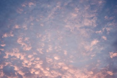 Göksel Dünya konsepti. Koyu mavi, pembe, doğal, parlak günbatımı gökyüzü kümülüs bulutları. Akşam bulutları manzarasının arka plan doğal rengi. Duvar kağıdı tasarımı için ideal