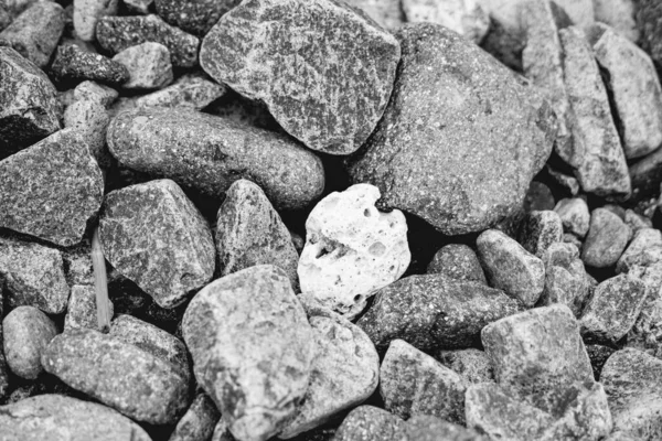 Pequeñas y grandes piedras redondas lisas, piedras secas al mar, grava gris multicolor. Composición abstracta Fondo texturizado. Ideal para el diseño de banners web —  Fotos de Stock