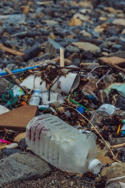 Taşların arkasına çok renkli, canlı bir çöp döküldü. Kapalı büyük plastik şişe. Çevre kirliliği, ekolojik sorunlar, küresel ısınma, insanların umurunda değil. Dikey hikayeler biçimi