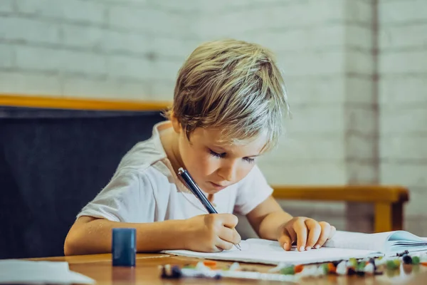 Potret anak laki-laki Preschool lucu berambut pirang memegang buku catatan pena terlihat serius tekun belajar menulis, ekspresi wajah gerakan. Masalah pendidikan perilaku anak-anak, konsep home school Stok Gambar