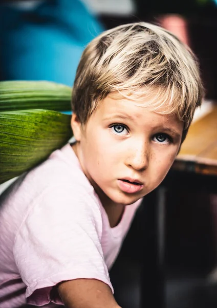 Portrét roztomilé pihovaté blond modrooký chlapec vážné nálady emoce výraz obličeje pohled na fotoaparát myslet v růžové, skrýt se pod listy. Problémy s dětstvím vztah, obtěžování fyzické zneužívání koncept — Stock fotografie