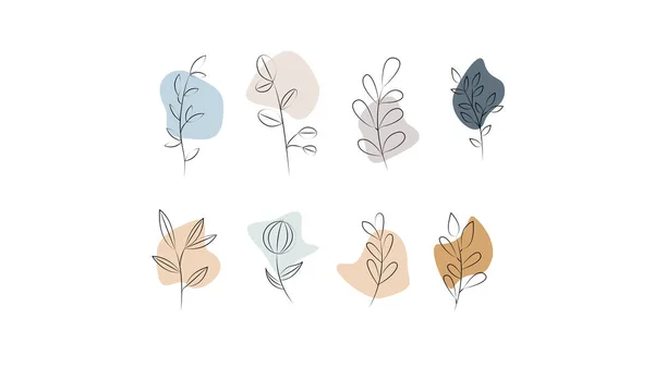 Minimal Line Art Blumen Für Die Schönheitssphäre Design Für Instagram — Stockfoto