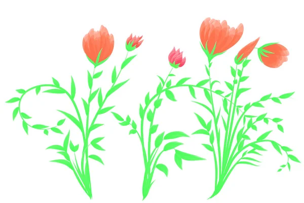 Draw Flowers Vector Image Red Flowers White Background — Stock Photo, Image