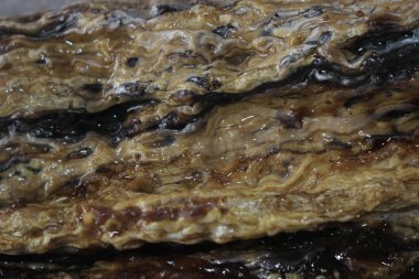 Dammar sakızı, damar batu arka planı Güzel ve pahalı doğal kaynaklar