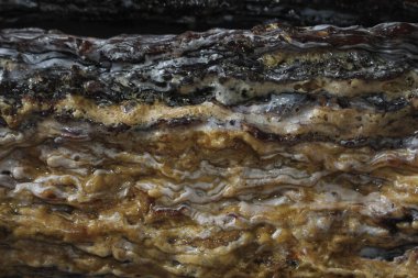 Dammar sakızı, damar batu arka planı Güzel ve pahalı doğal kaynaklar