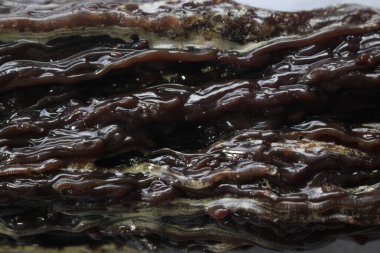 Dammar sakızı, damar batu Doğal kaynaklar güzel ve pahalı beyaz arka plan