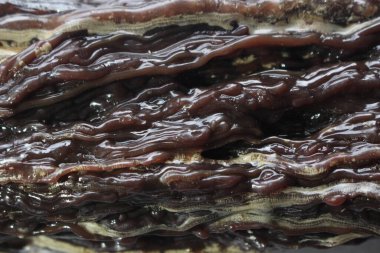 Dammar sakızı, damar batu arka planı Güzel ve pahalı doğal kaynaklar