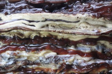 Dammar sakızı, damar batu arka planı Güzel ve pahalı doğal kaynaklar