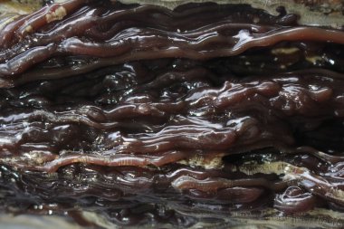 Dammar sakızı, damar batu arka planı Güzel ve pahalı doğal kaynaklar