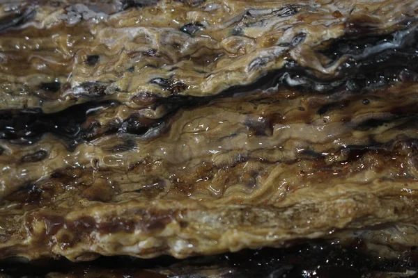 Dammar sakızı, damar batu arka planı Güzel ve pahalı doğal kaynaklar