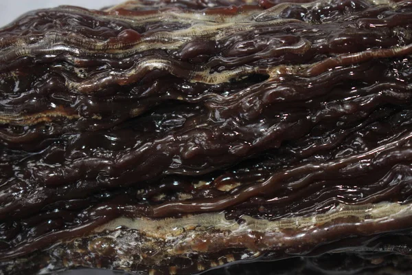 Dammar sakızı, damar batu arka planı Güzel ve pahalı doğal kaynaklar