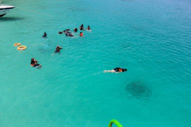 Deniz kenarında yüzen bir alet kullanın, güzel bir okyanus. Tatil, tatil, seyahat, dalış, arkadaşlarla turizm