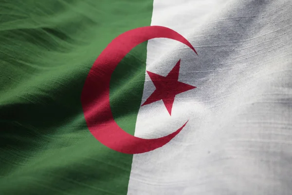 Closeup Rüzgarda Karıştırdı Cezayir Bayrağı Cezayir Bayrağı — Stok fotoğraf