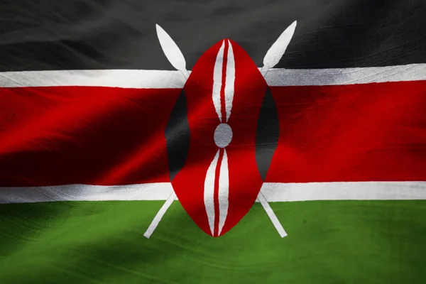 在风中吹皱的肯尼亚国旗 肯尼亚国旗的特写 — 图库照片
