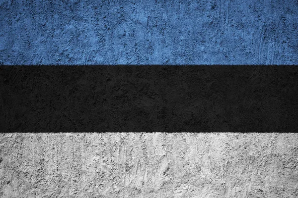 Bandera Estonia Muro Hormigón Grunge — Foto de Stock