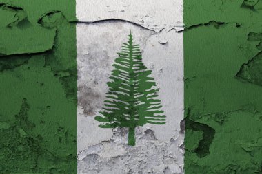 Norfolk Adası bayrak kırık beton duvara boyalı