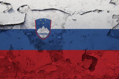 Kırık beton duvara boyalı Slovenya bayrağı