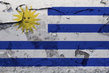 Kırık beton duvara boyalı Uruguay bayrağı