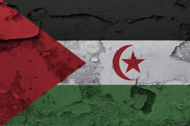  Batı Sahra bayrak kırık beton duvara boyalı