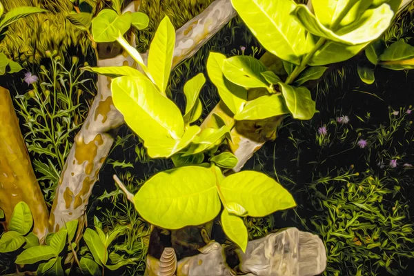 Gröna Blad Från Grenen Eller Stammen Guava Detta Foto Har — Stockfoto