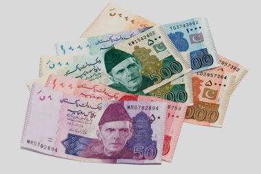 Pakistan Rupileri, Pakistan para birimi notları