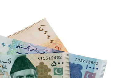 Pakistan Rupileri, Pakistan para birimi notları