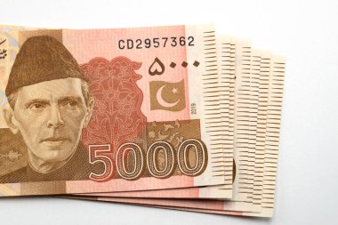Pakistan Rupileri, Pakistan para birimi notları