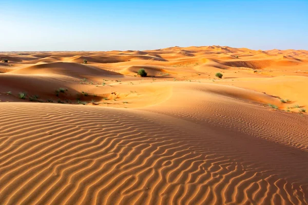 阿联酋迷人而美丽的沙漠景观 — 图库照片