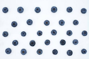 Beyaz bir zemin üzerinde olgun sulu yaban mersinlerinin paralel sıraları