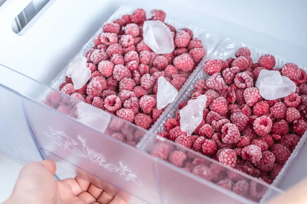 Containers with frozen raspberries in the freezer of the fridge. Concept of frozen food, long term storage products.