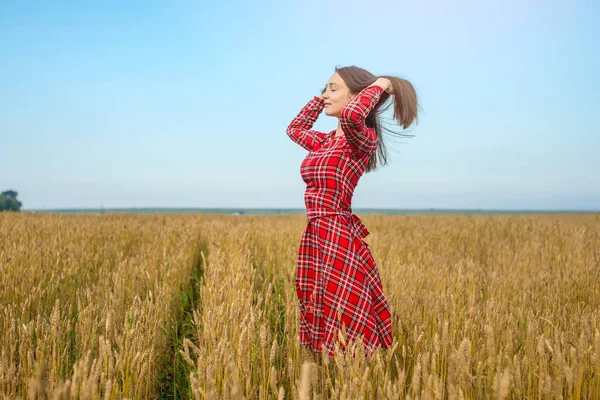 Uma Jovem Vestido Vermelho Belo Campo Trigo Endireita Cabelo Conceito — Fotografia de Stock