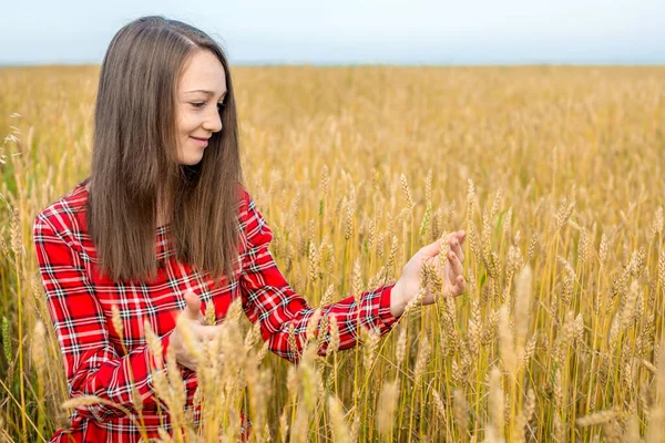 在麦田里 一位身穿红衣服的年轻女子正小心翼翼地看着金黄成熟的小穗 — 图库照片