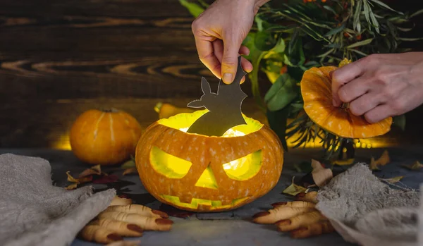 Hand is putting a bat inside the pumpkin with the face cut out. Concept of celebrating Halloween and the sinister atmosphere.