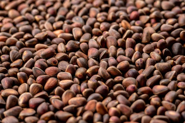 Çam fıstığının arka planı. Kabuklarında bir sürü sedir tohumu var. Üst görünüm.