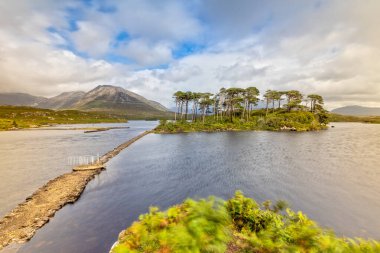 Derryclare Lough 'daki Pine Adası Connemara Ulusal Parkı, İrlanda