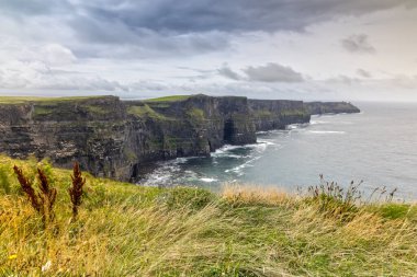 İrlanda 'daki annelerin uçurumları