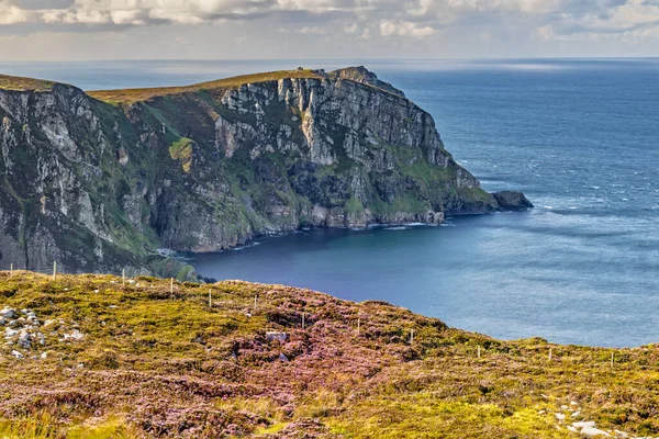 Вид Скалы Хорн Хед Графстве Донегал Ирландии — стоковое фото