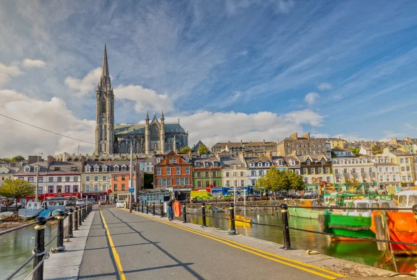 Cork, İrlanda yakınlarındaki Cobh 'daki St. Colman Katedrali' nin baskısı