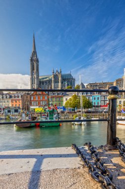 Cork, İrlanda yakınlarındaki Cobh 'daki St. Colman Katedrali' nin baskısı