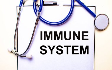 IMMUNE SİSTEM steteskopun yanındaki beyaz bir kağıt parçasına yazılmış. Tıbbi konsept