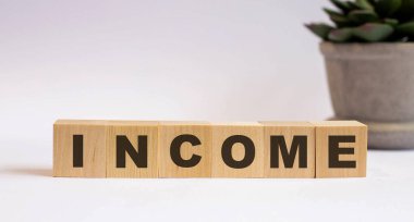 INCome kelimesi, arka plandaki bir saksıda, bir çiçeğin yanındaki tahta küplere yazılır. İş konsepti