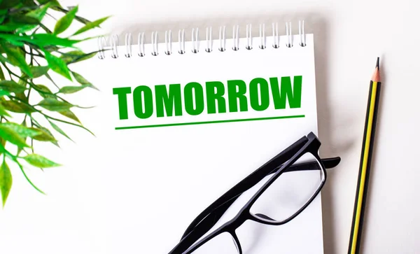 Palabra Tomorrow Está Escrita Verde Cuaderno Blanco Junto Una Planta — Foto de Stock