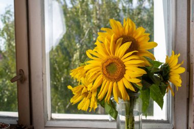 Pencere kenarında bir buket ayçiçeği