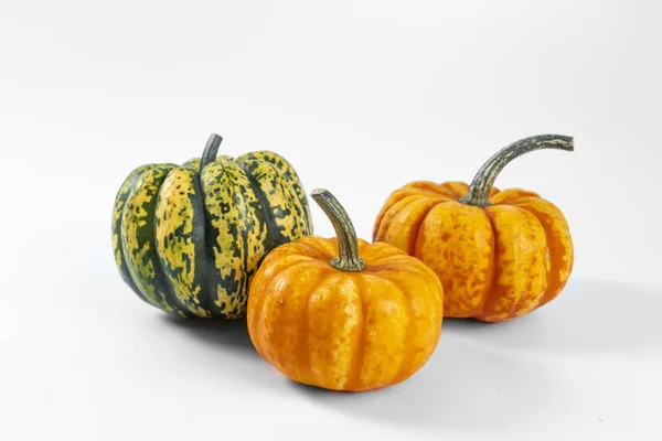 beyaz bir arka plan üzerinde üç küçük dekoratif kabak 