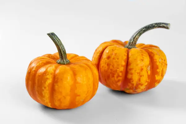 Piccola Zucca Decorativa Sfondo Bianco — Foto Stock