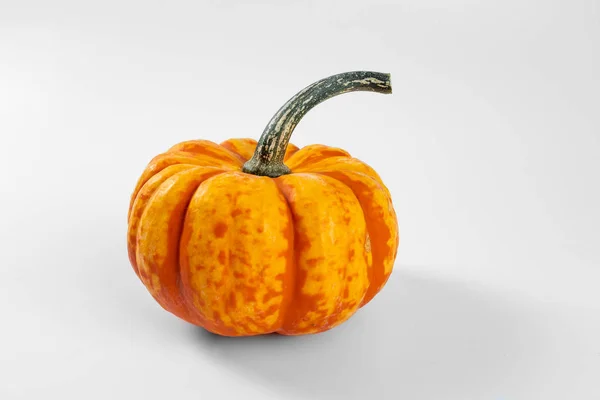 Beyaz bir arka planda küçük dekoratif kabak 