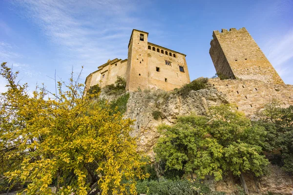 Grupo Alamos Embalse Pineta Populus Alba Valle Pineta Parque Nacional — 스톡 사진