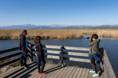 Amarador, albufera de mallorca, Mallorca, Balearic Adaları, İspanya