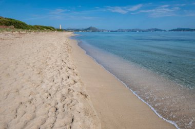 Es Comu, bölge Doğal Especial Inters, içinde s 'Albufera, Muro, baha de Alcdia, Mallorca, Balearic Adaları Doğal Parkı, İspanya