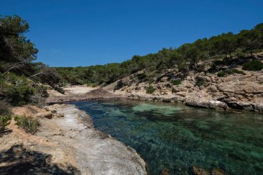 Cala Cap Falco, Calvia, Mallorca, Balearic Adaları, İspanya